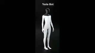 The Tesla Bot: Explained and what it holds for the future - Podcast