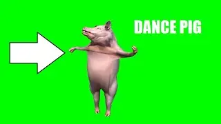 Green Screen Pig Dance Moves