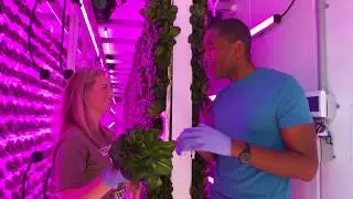 Stepping Inside a Shipping Container Farm | The Henry Ford's Innovation Nation