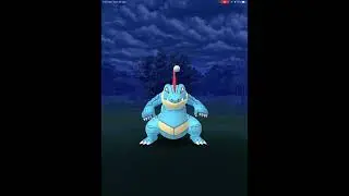 WILD FERALIGATR !?!?