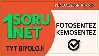TYT Biyoloji Fotosentez, Kemosentez | 1 Soru 1 Net