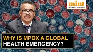 Mpox Outbreak: Why Has WHO Declared Mpox A Global Health Emergency? Experts Explain | Monkeypox