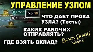 📱BDM: УПРАВЛЕНИЕ УЗЛАМИ. Гайд и тесты. Качать или нет? Рабочие в Black Desert Mobile (БДМ)