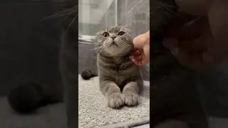 Найди меня в следующей жизни!