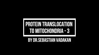 Protein Translocation to Mitochondria   3