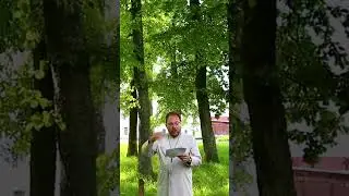 Старцы-отшельники шутят| № 8 #shorts