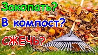 🍂 Что делать с опавшими листьями в саду! Сжечь/закопать/в компост или как правильно утилизировать?