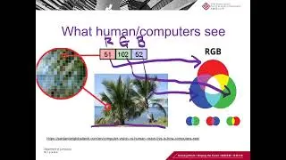 Lecture 2 - Image Processing 1 - Display, Colors, Resizing, Rotations - Computer Vision - COMP 4423