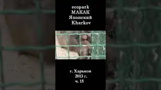 █ МАКАК Японский ЭкоПарк Харьков / ч. 15 /  2013 г.  