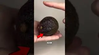 НЕ ТРОГАЙТЕ этот Авокадо! 😱🥑