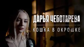 Дарья Чеботарева - Кошка в окрошке (Веня Дркин) Кавер 2023