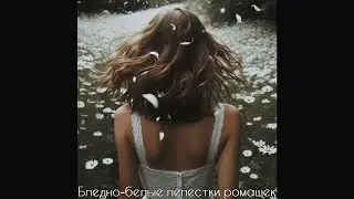 Сказочник & Suno AI - Бледно-белые лепестки ромашек v.2