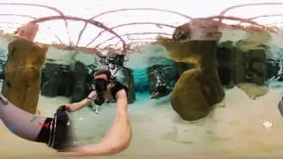 360 Video - Center Parcs - De Vossemeren - Cenote Pool (Koraalbad)