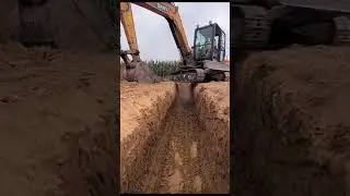 Бахо беринг сразу 