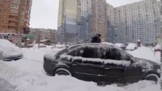 Мопс заехал в стрелковый клуб