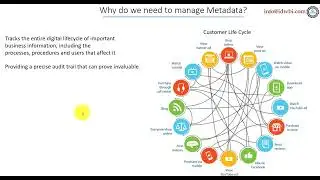 How does Metadata help with the Business Processes and Procedures?