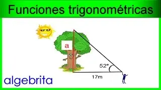 Encontrar la altura de un árbol en base a su sombra proyectada Funciones trigonométricas 367