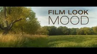 Tutorial: Film Look & Mood
