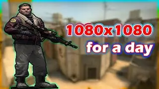 1080x1080 stretched for a day • CSGO 🌟