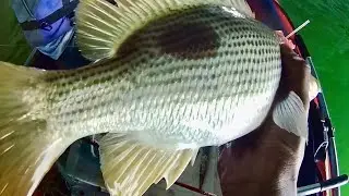 Memancing Di Lubuk Ikan Jenahak #84