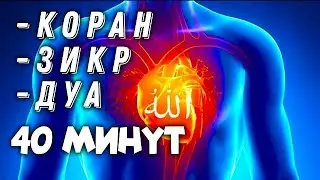 Коран и Зикр 40 минут. Это очистит вашу душу и сердце.