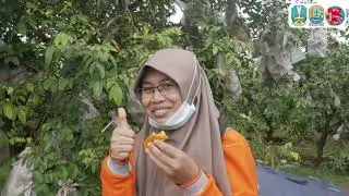GCC JATIM 2021_BLIMBING MADU, THE SWEET TEMPTATION FROM TASIKMADU_SMA N 1 BANCAR