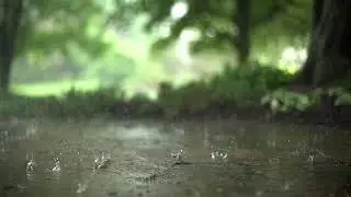 Soothing Rain Sounds for Relaxation and Sleep