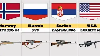 Sniper rifles and from which countries they are (part 2)