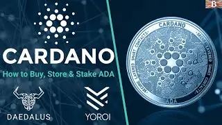 Beginners Guide to Cardano: How to Buy, Store & Stake ADA Token