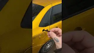 Заглушка бархотки стекла двери Гранта 