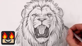 How To Draw a Lion | Step by Step Sketch Tutorial