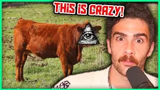 This Red Cow Conspiracy Theory is INSANE | Hasanabi Reacts