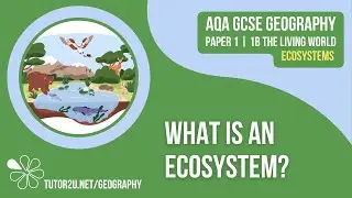 What is an Ecosystem? | AQA GCSE Geography | Ecosystems 1