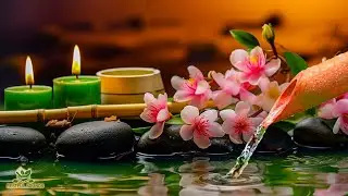 Beautiful Piano Music - Relaxing Music for Sleep, Water Sounds, Calming Music, Meditation Music, Spa