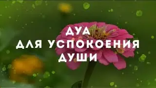 ДУА ДЛЯ ИСПОЛНЕНИЯ ЖЕЛАНИЙ 🎧❤🤲СЛУШАЙТЕ КОРАН !! КАЖДЫЙ ДЕНЬ.