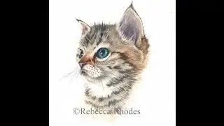 Watercolor Painting Tutorial - Kitten, Course Preview