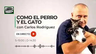 Como el Perro y el Gato 08/02/2025