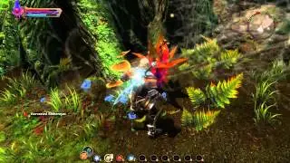 Where I've Been - Kingdom of Amalur