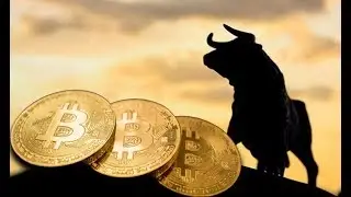 Bitcoin Bull Run Next Week, Bakkt Cash, Bitcoin Options, BTC Cash Back & Tezos Support