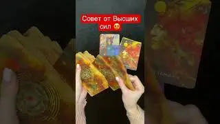СОВЕТ ОТ ВЫСШИХ СИЛ