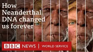 How sex with Neanderthals changed us forever - BBC World Service