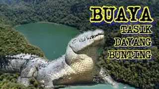 Kisah Jelmaan Buaya Putih Di Tasik Dayang Bunting , Langkawi Menakutkan Pelancong