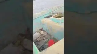 Barco com pelo menos 20 corpos em decomposição é encontrado à deriva no Pará 