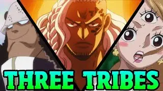 Three Tribes That Hold The Key To One Piece!!