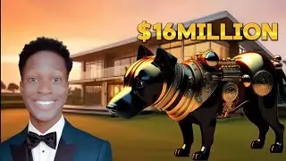 $1 vs $16,000,000 PET!