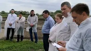 Конкурс осеменаторов в районе