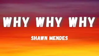 Shawn Mendes  -  Why Why Why (Remix)