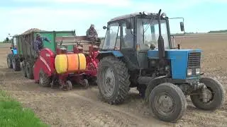 Посадка картофеля 2022 в СПК 