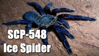 SCP-548 Ice Spider | object class euclid