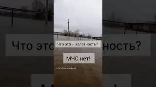 Всё сами: животных в лодку и поплыли! МЧС нет! 